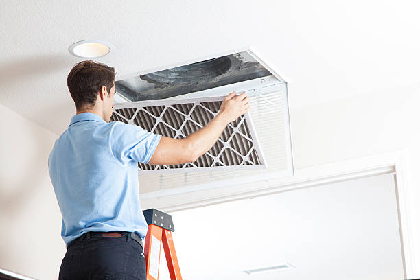 Best Air Filters and Purifiers in Maiden, NC